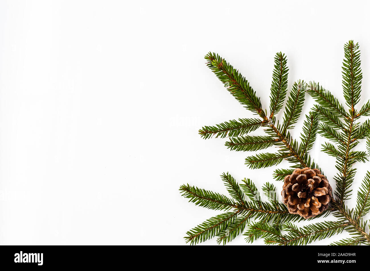 Christmas fir branch with pine cone isolated on white background Stock ...
