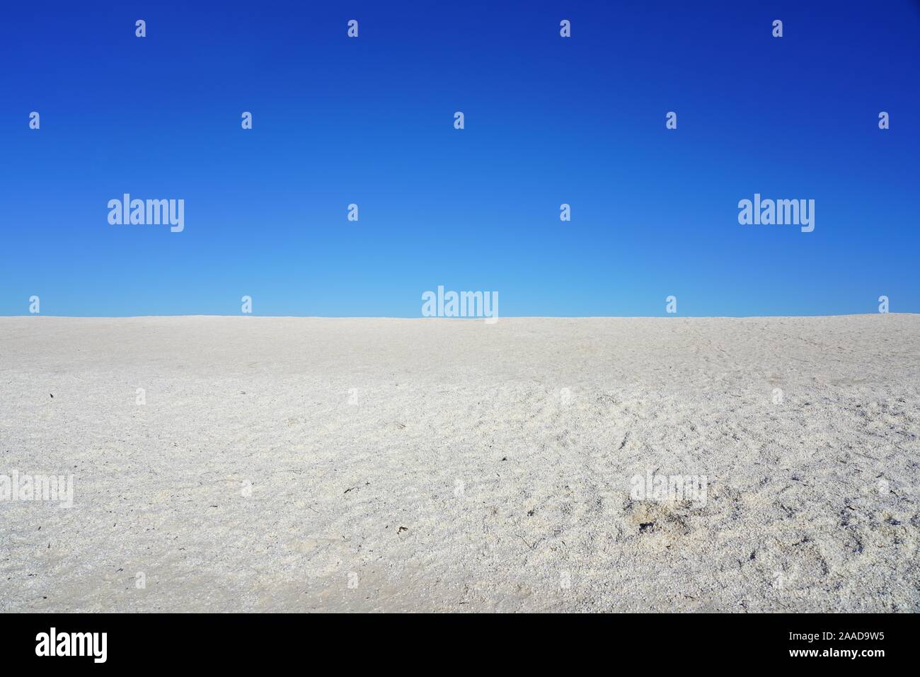 View of Shell Beach in Shark Bay, World Heritage area, Western Australia Stock Photo