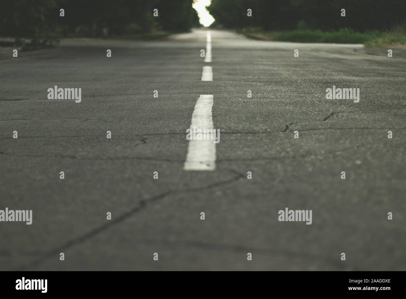 Empty race track and markings. New asphalt pavement. Horizontal ...