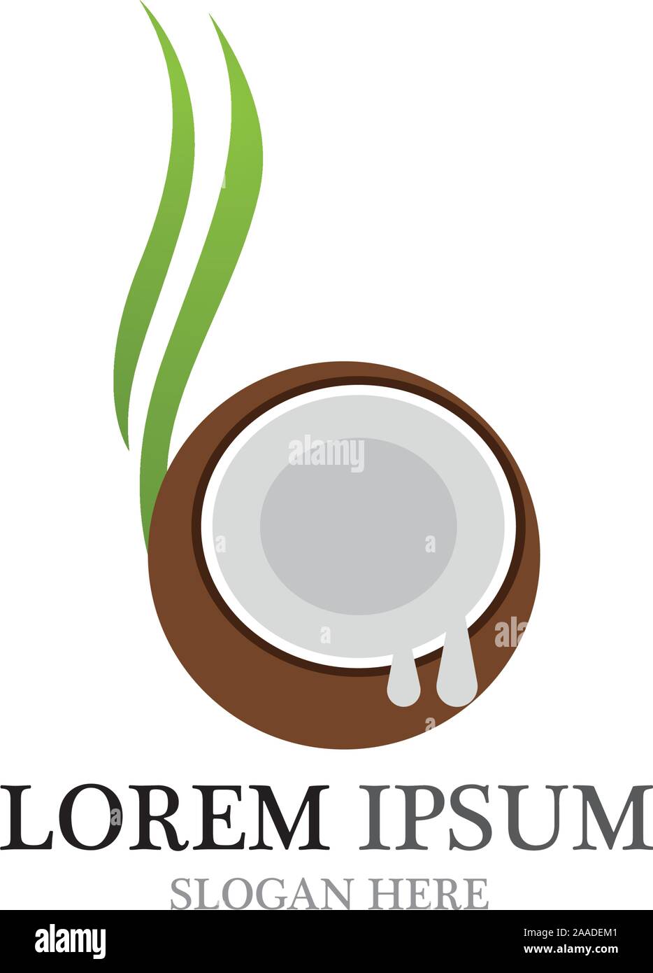 Coconut fruits vector ilustration design Stock Vector
