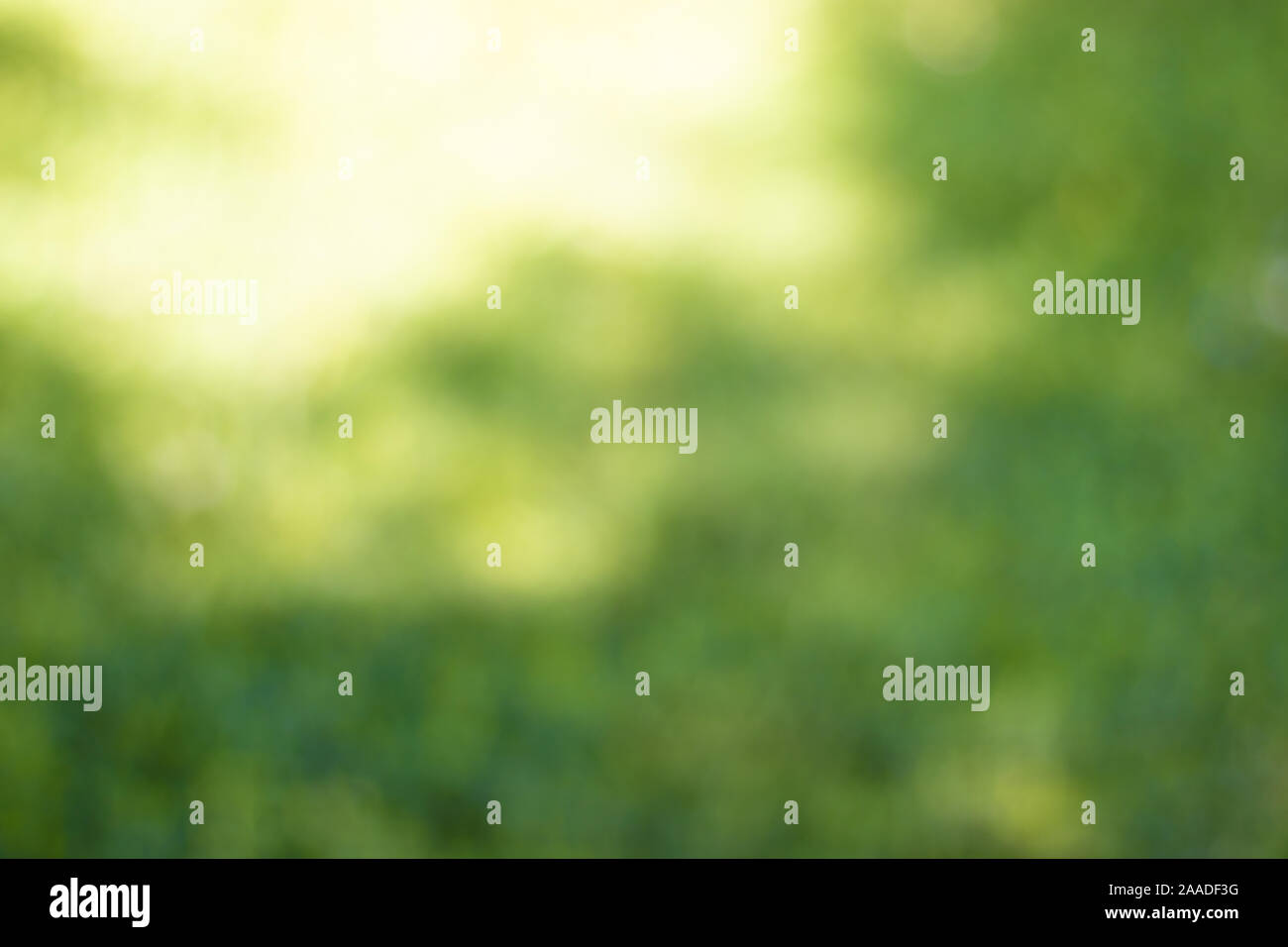 Fresh green eco background with abstract blurred shine Stock Photo - Alamy