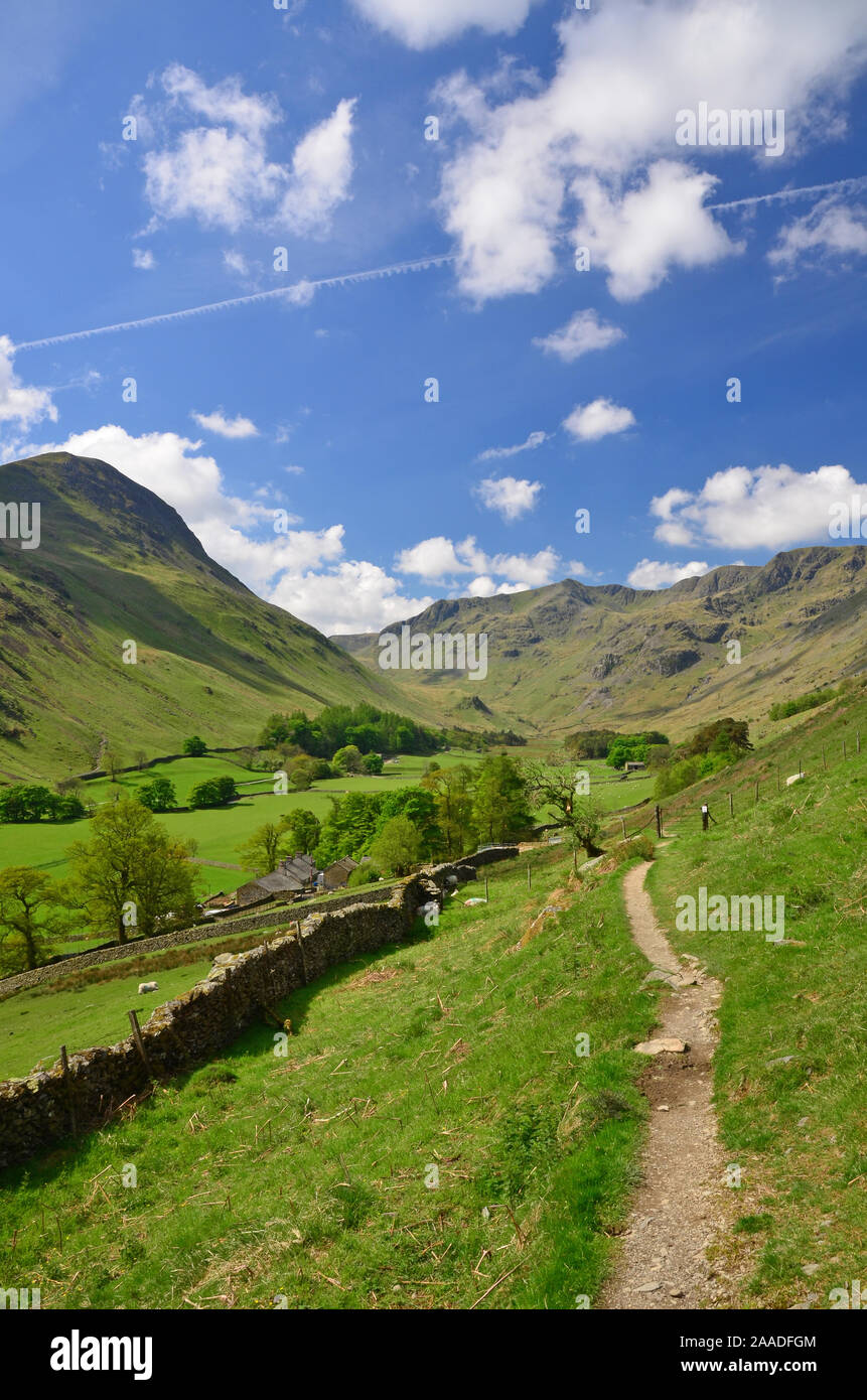 Footpath down Grisedale, Cumbria Stock Photo