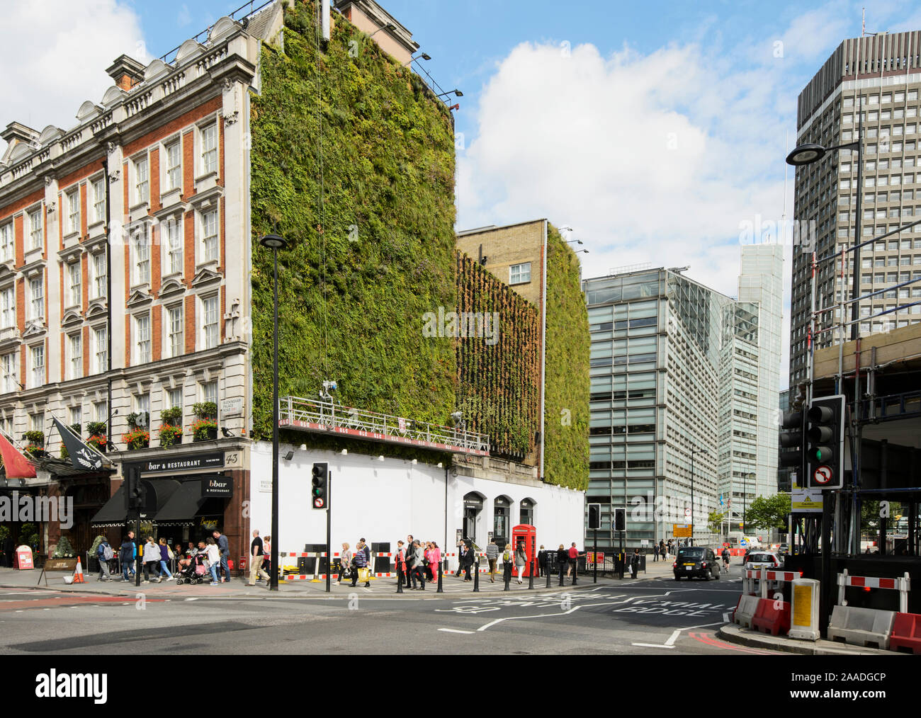 Green wall, Victoria, London UK. This wall captures rainfall and releases it slowly regulating temperature and decreasing urban run off 2014 Stock Photo