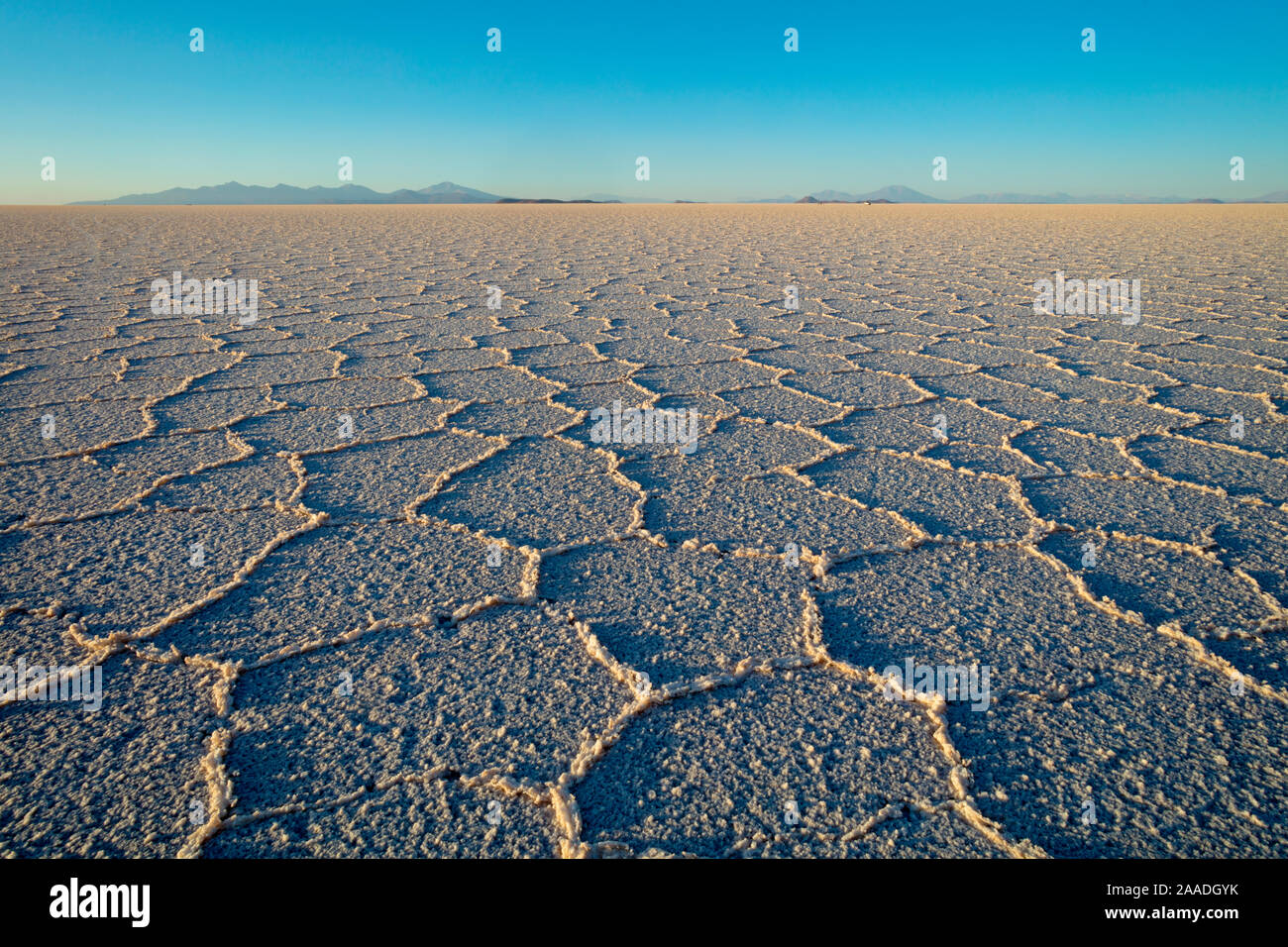 Salt formations on surface of Salar de Uyuni Salt Pan. Bolivia, December. Stock Photo