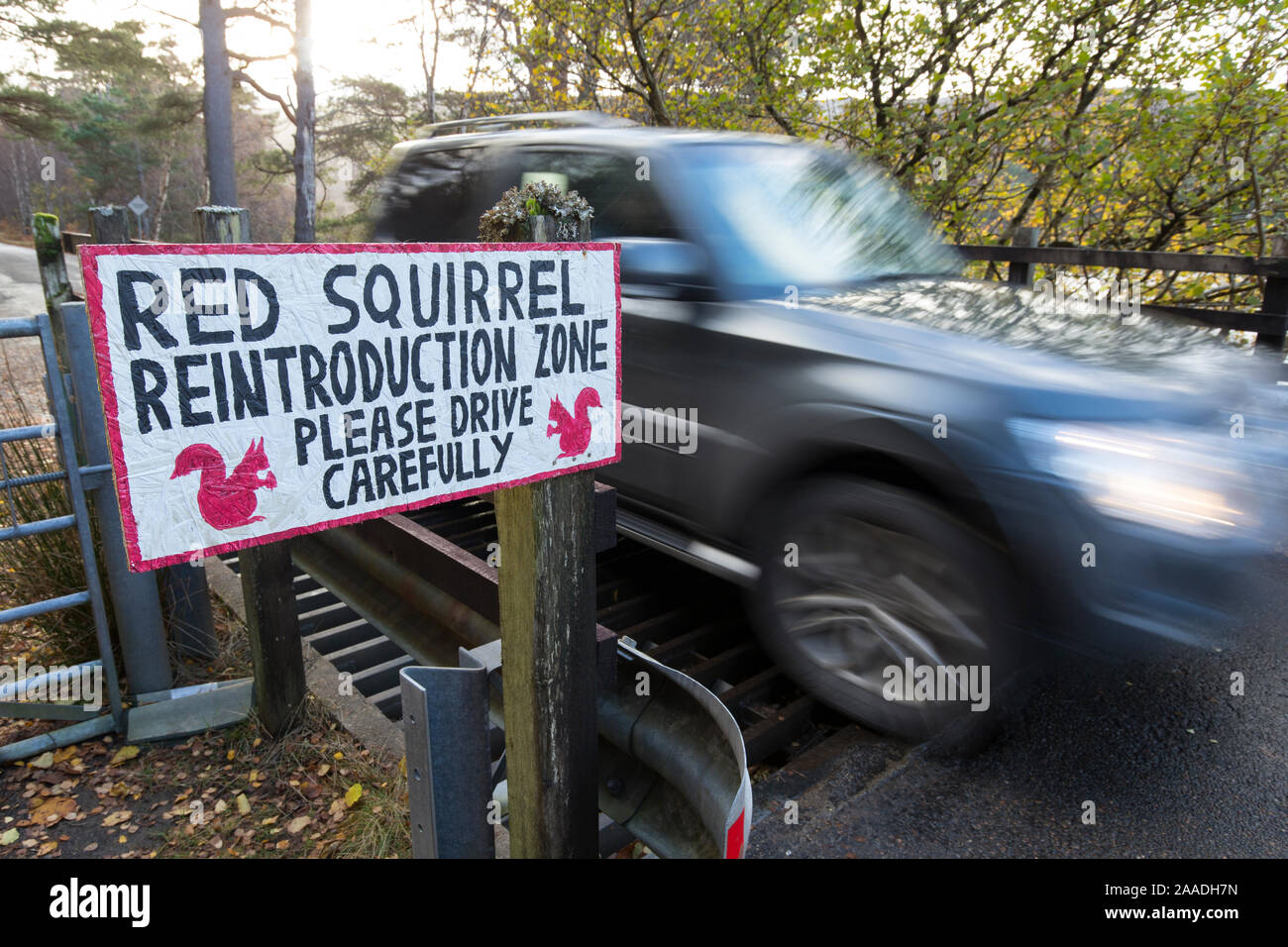 Sign erected alerting drivers to red squirrels crossing road, Shieldaig, Wester Ross, Scotland, UK. Stock Photo