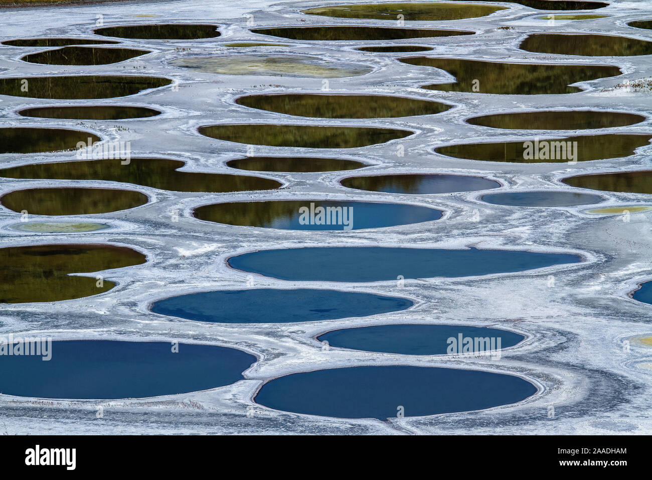 Spotted Lake, a saline endorheic alkali lake, a medicine lake for the Okanagan Syilx people, British Columbia, Canada, July. Stock Photo