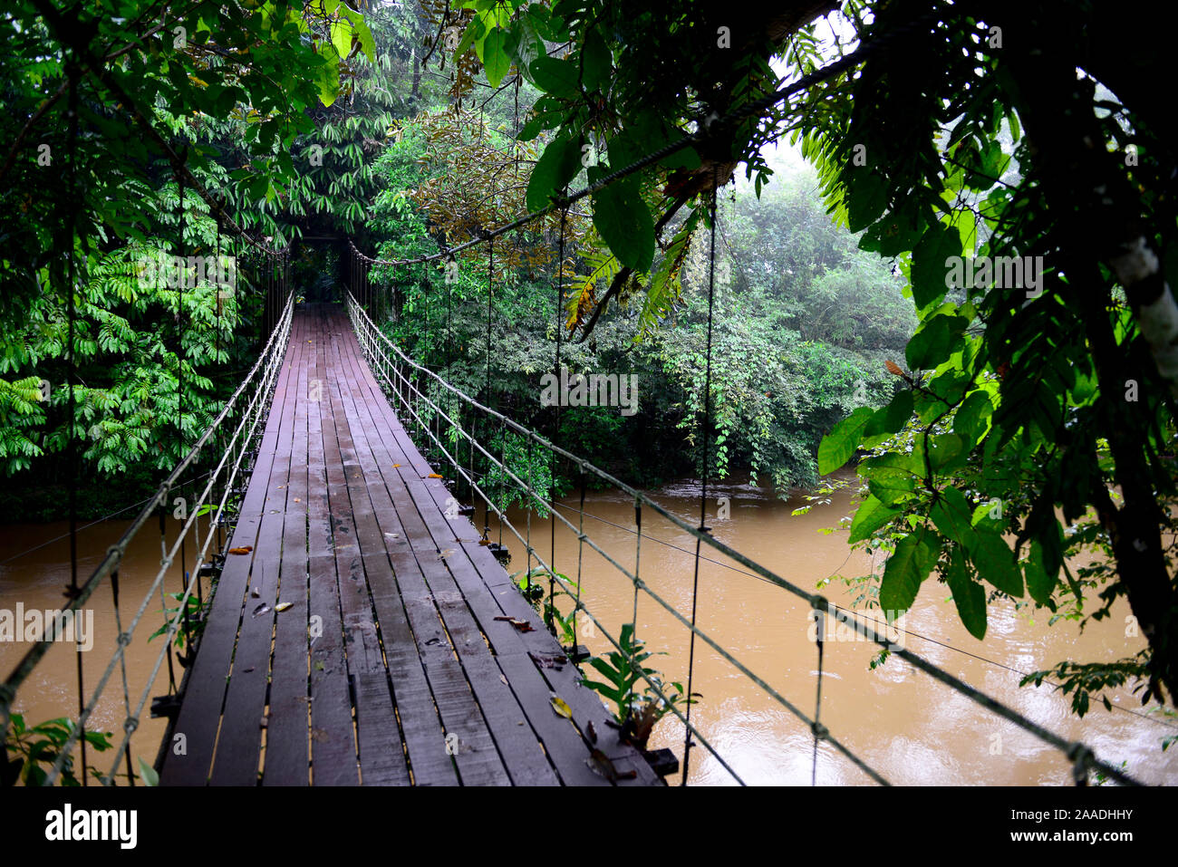 Suspension bridge across the river, entrance to Gunung Mulu National Park UNESCO Natural World Heritage Site, Malaysian Borneo. Stock Photo