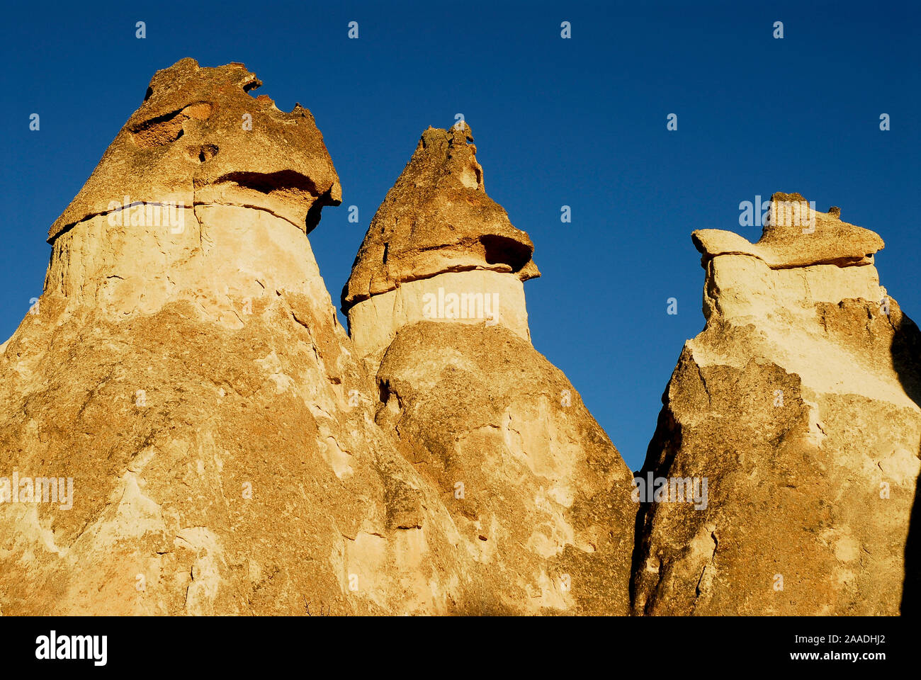 Pinnacles, also known as fairy chimneys or hoodoo,  Love Valley. Goreme National Park and the Rock Sites of Cappadocia UNESCO World Heritage Site. Turkey. December 2006. Stock Photo