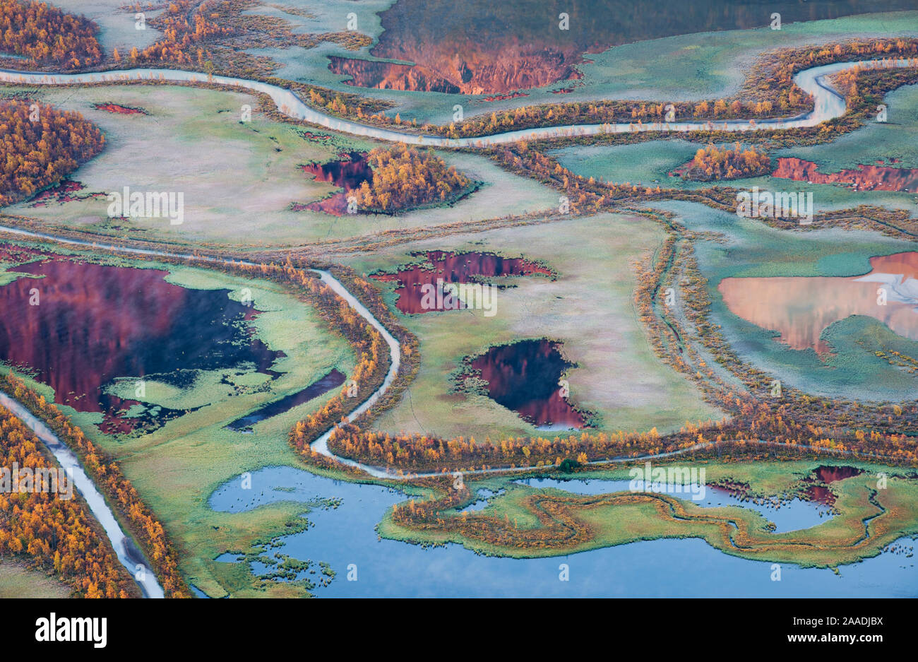 Aerial view of the Laitaure delta or Rapa river delta in autumn. Rapadalen, Sarek National Park, Laponia UNESCO World Heritage Site Swedish Lapland, Sweden. September 2013. Stock Photo
