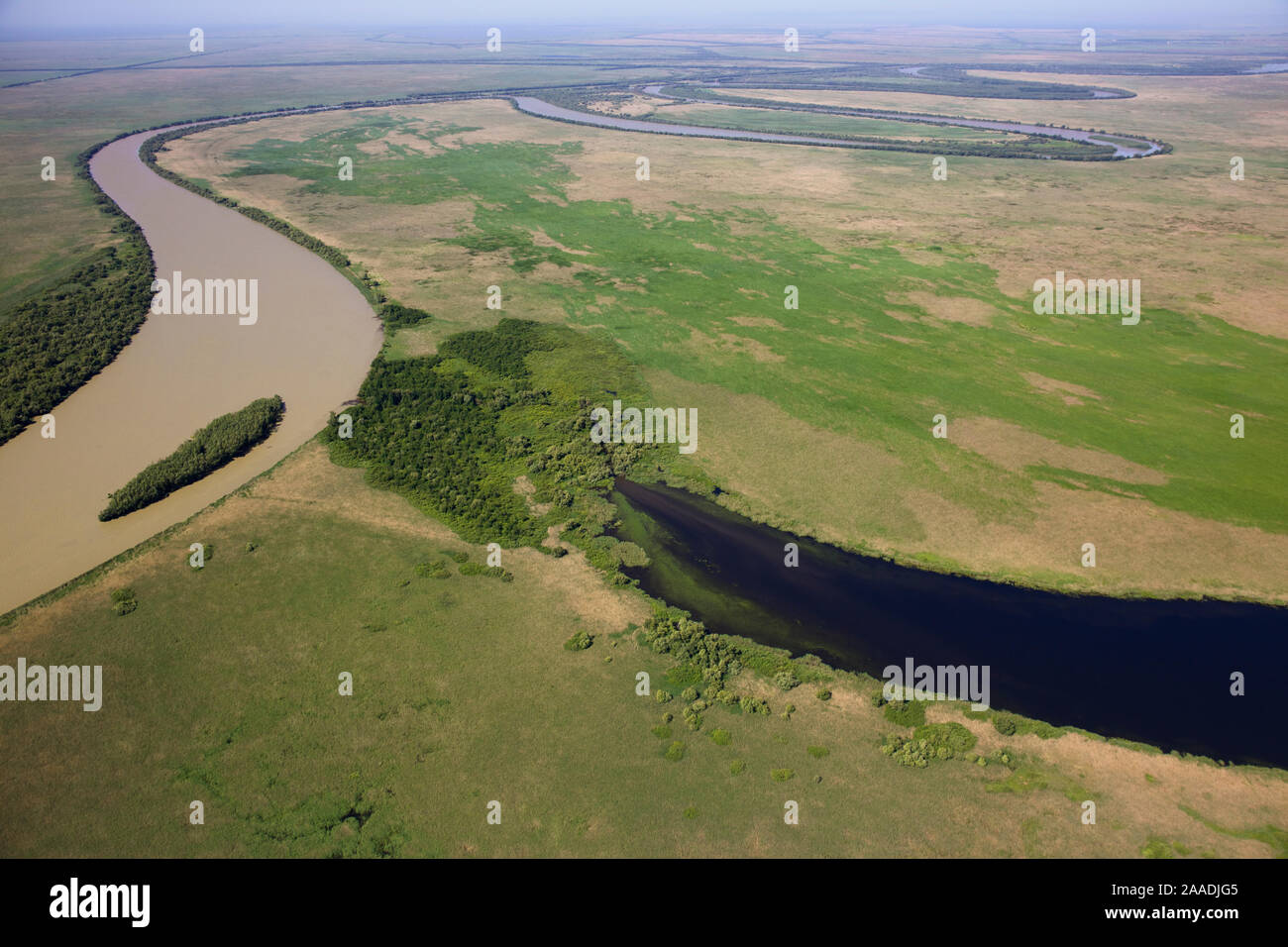Aerial View Of The Meandering Saint George Branch Of The Danube River aerial-view-of-the-meandering-saint-george-branch-of-the-danube-river