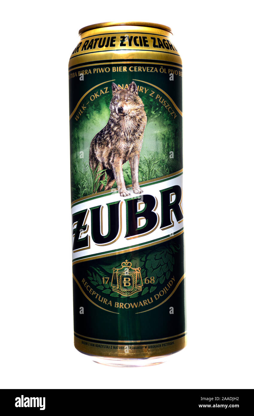 Polish beer can - Zubr lager Stock Photo