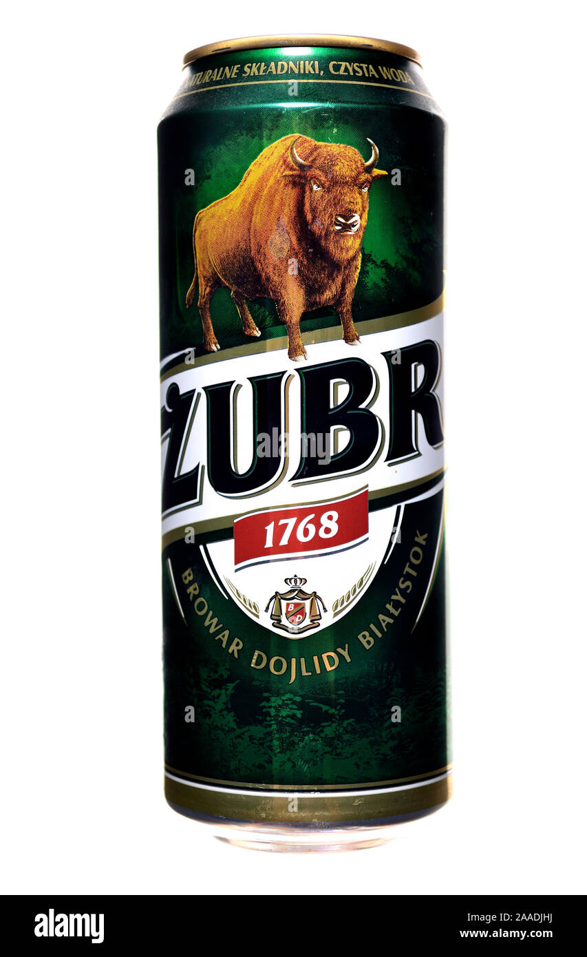 Polish beer can - Zubr lager Stock Photo