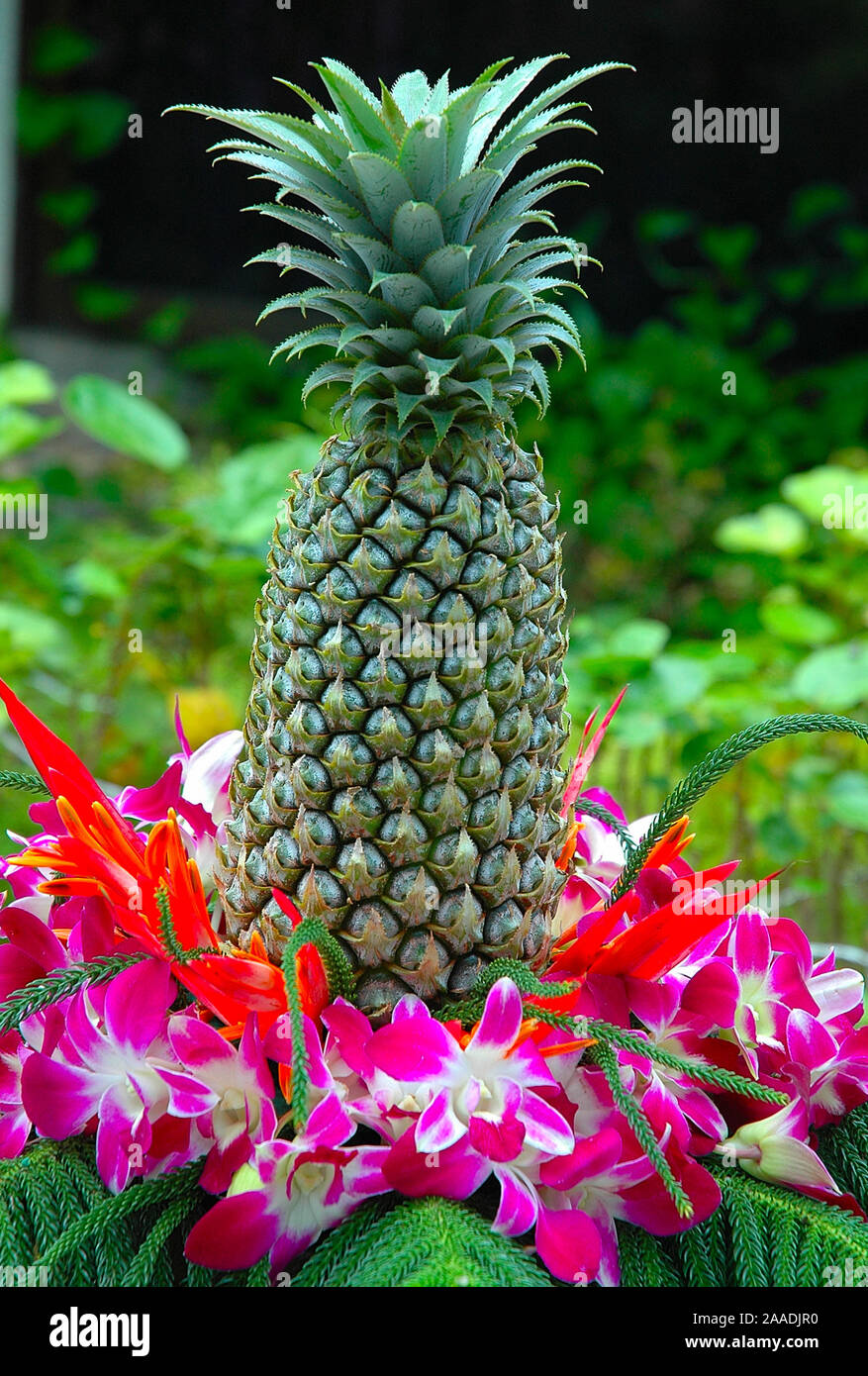 Ananas dekoriert mit Blumen Stock Photo - Alamy