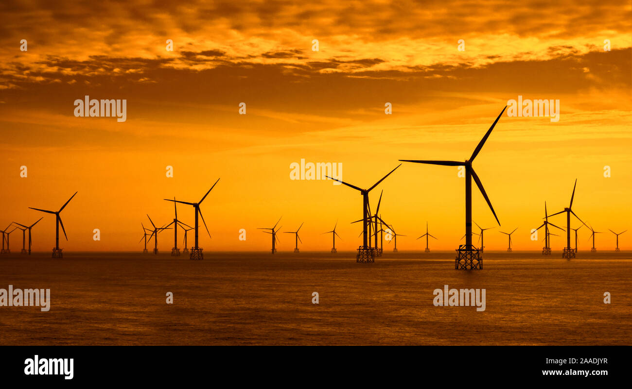 Wind turbines of the Thorntonbank Wind Farm, offshore windfarm off the Belgian coast in the North Sea at sunset Stock Photo