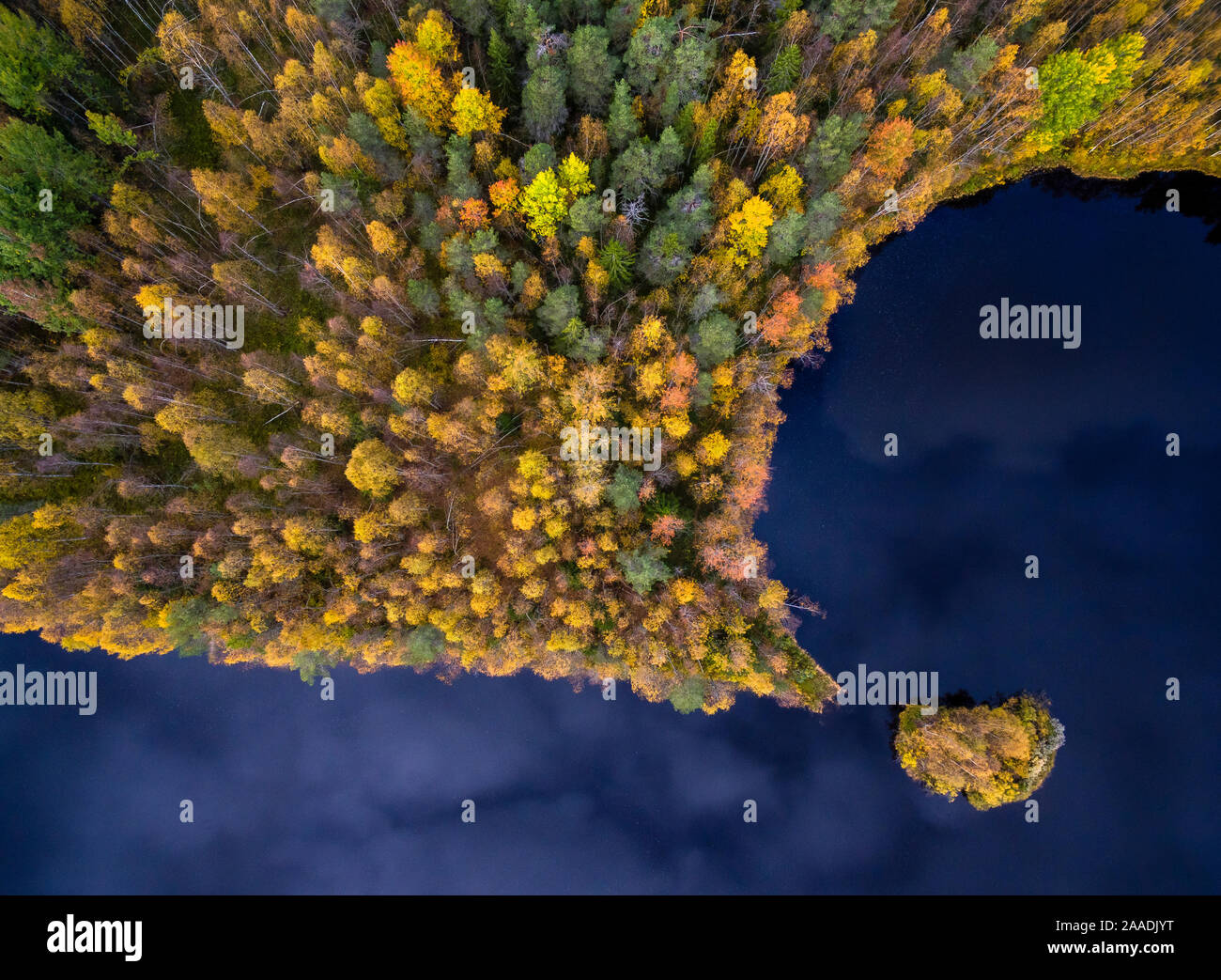 Taiga forest photographed from air, Finland, September 2016. Highly commended in the GDT European Wildlife Photographer of the Year Awards 2017 and  Honorable mention  in Beauty of Nature Category of the Siena International Photography Awards 2017. Stock Photo