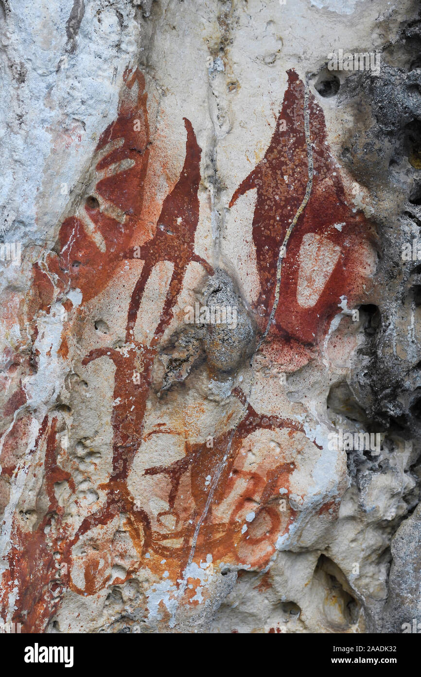 Ancient rock art paintings, from cave that caved in and exposed them to the light of day, Raja Ampat, Western Papua, Indonesian New Guinea Stock Photo