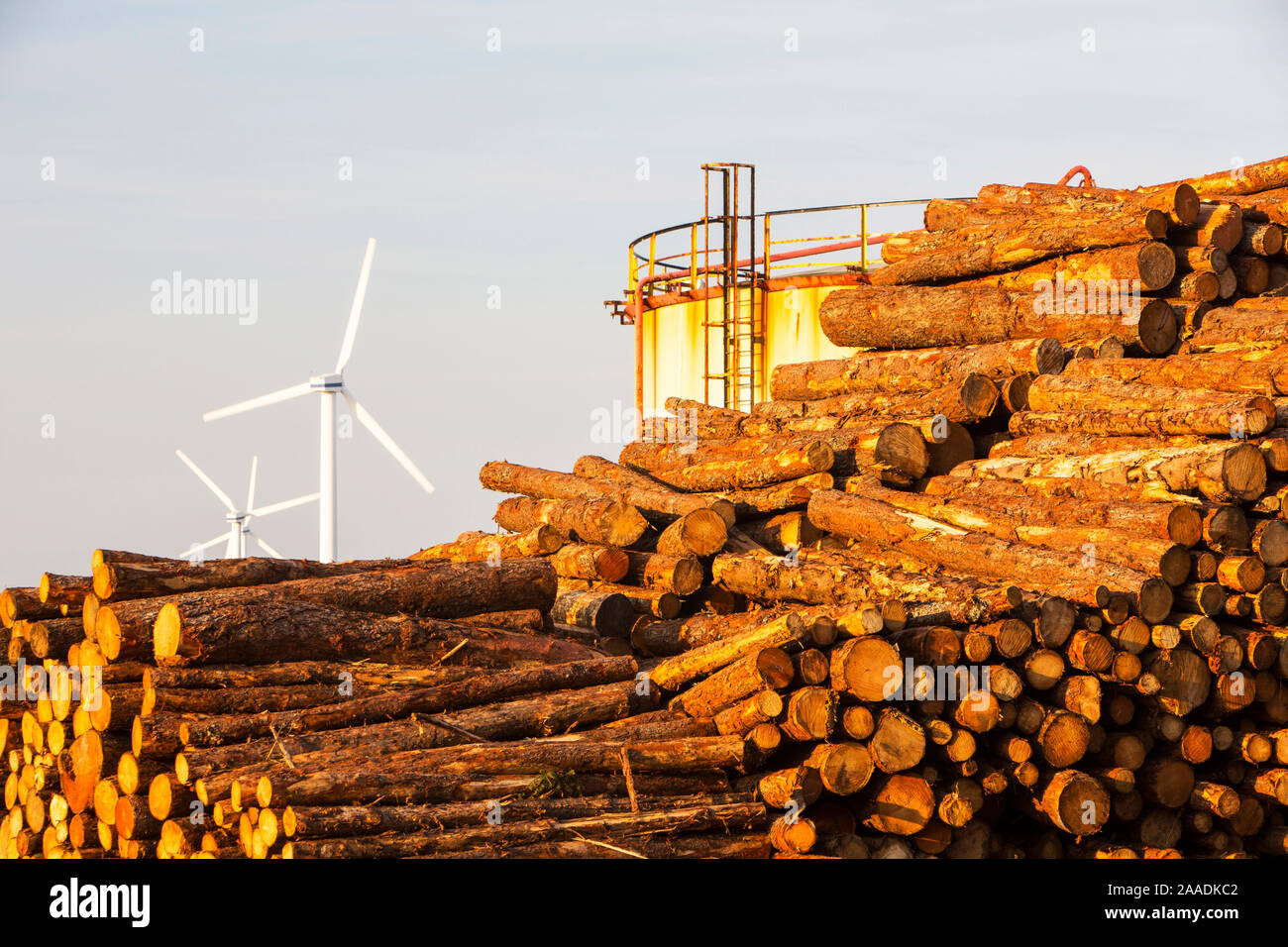 Logs bound for a biofuel power station in Workington next to oil tanks in Workington port, Cumbria, UK, with a wind farm in the background. Stock Photo