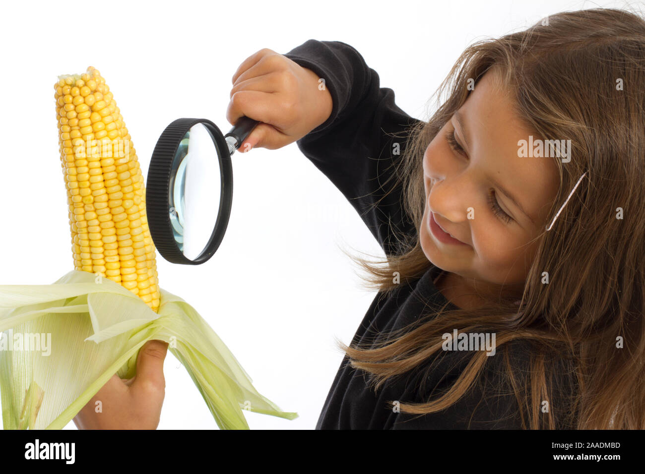 Sechsjährige betrachtet Maiskolben (mr) Stock Photo