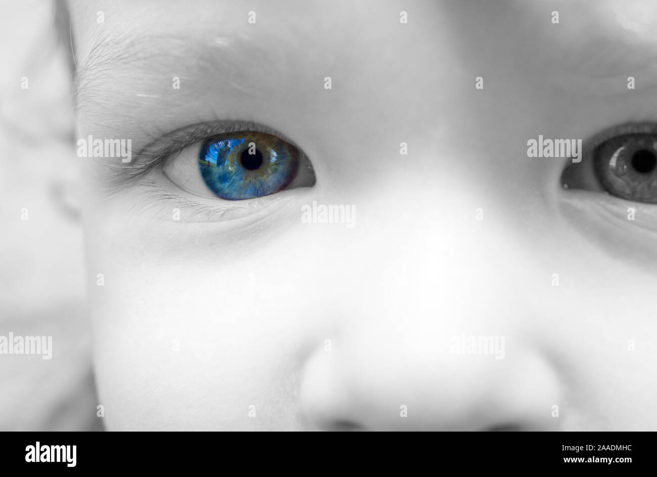 Auge eines dreijährigen Jungen (mr) Stock Photo