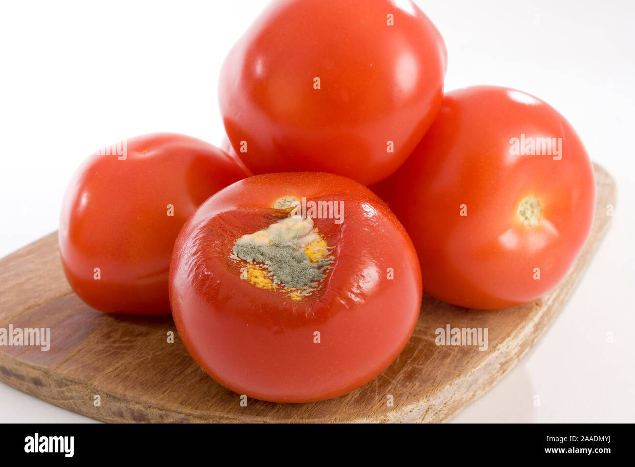 verdorbene Tomaten Stock Photo