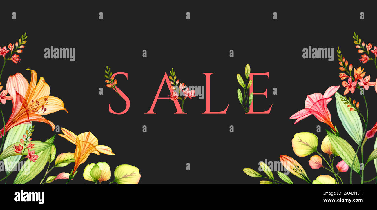 Watercolor sale banner with colourful lily and freesia. Exotic flowers isolated on black background. Botanical illustration for campaigns, banners Stock Photo