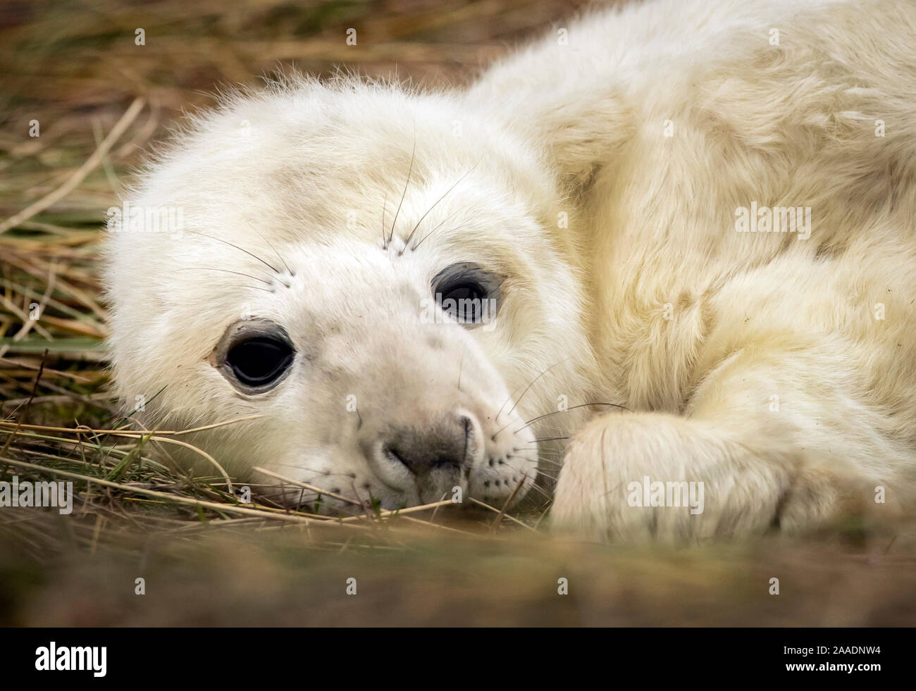 Return to nature hires stock photography and images Alamy