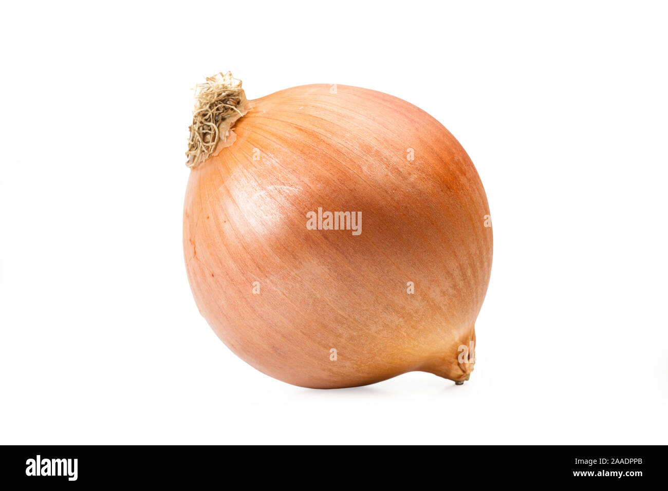 White onion with peel on a white background Stock Photo