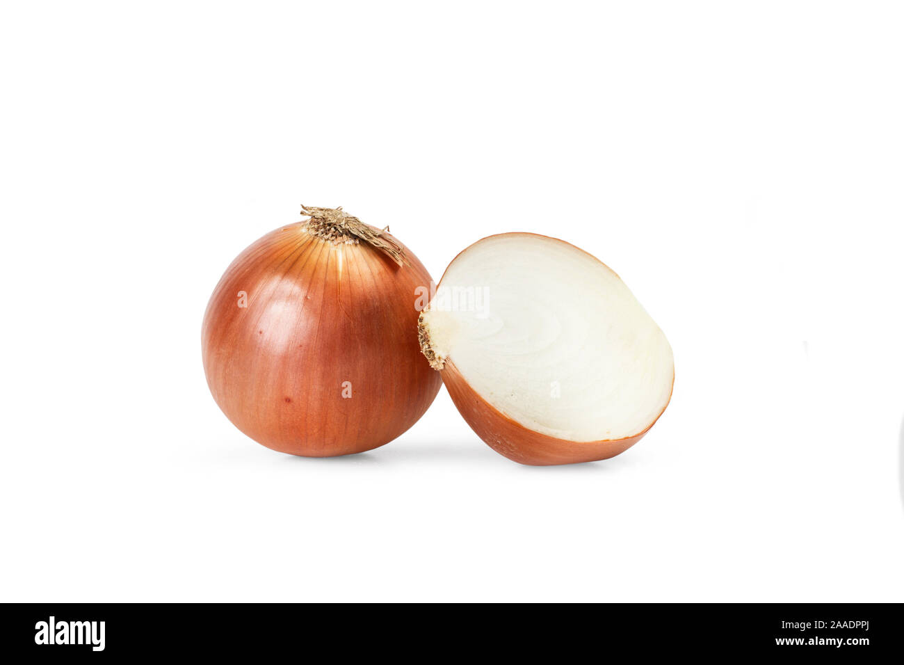 White onion with peel on a white background Stock Photo