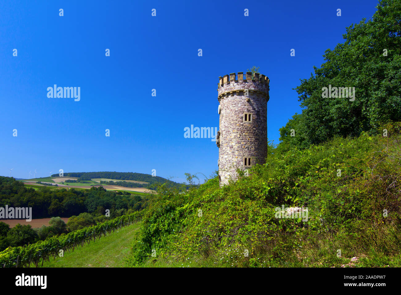 Bundesrepublik Deutschland, Deutschland, Rheinland-Pfalz, Ajaxturm bei Siefersheim auf der Hiwweltour (no pr, nur redaktionell) Stock Photo