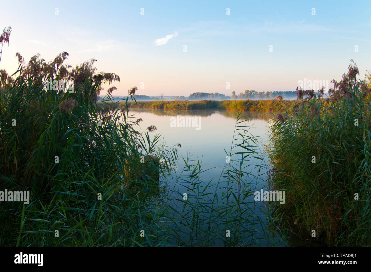 Reinheimer Teich High Resolution Stock Photography and Images Alamy