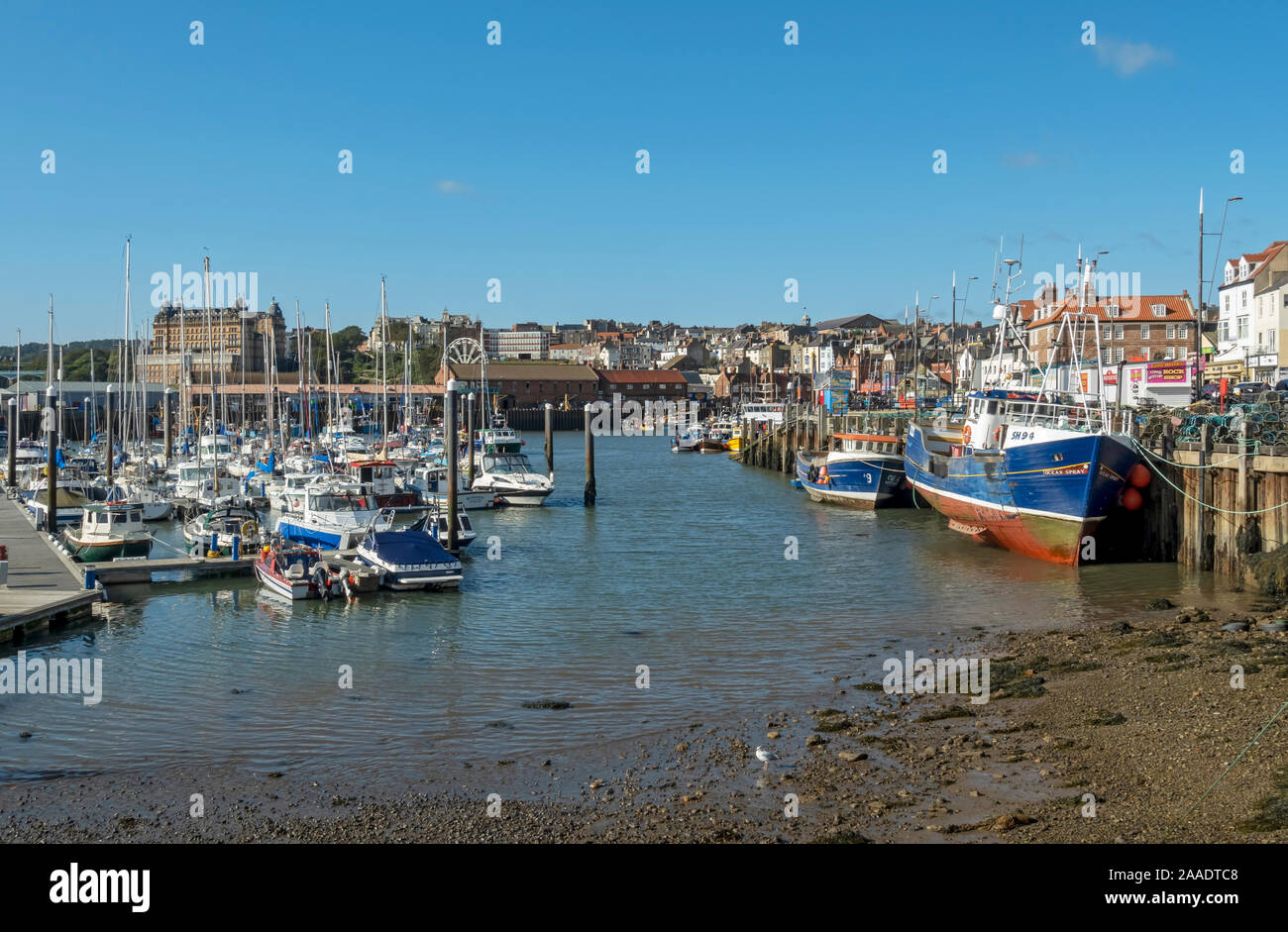 Fishing boat boats in the harbour at low tide in winter Scarborough North Yorkshire England UK United Kingdom GB Great Britain Stock Photo