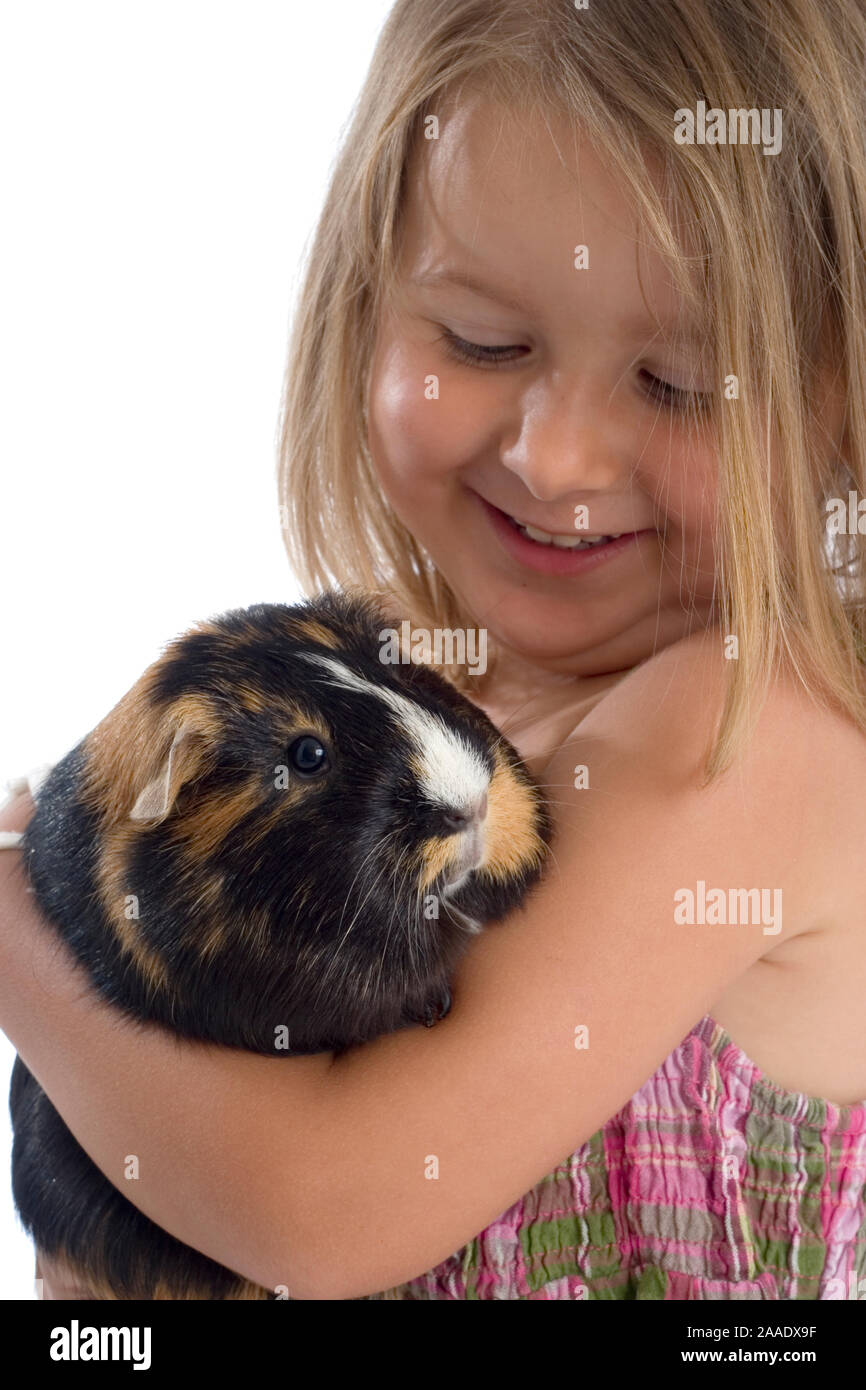 vierjähriges Mädchen hält ein Meerschweinchen (modell released) Stock Photo