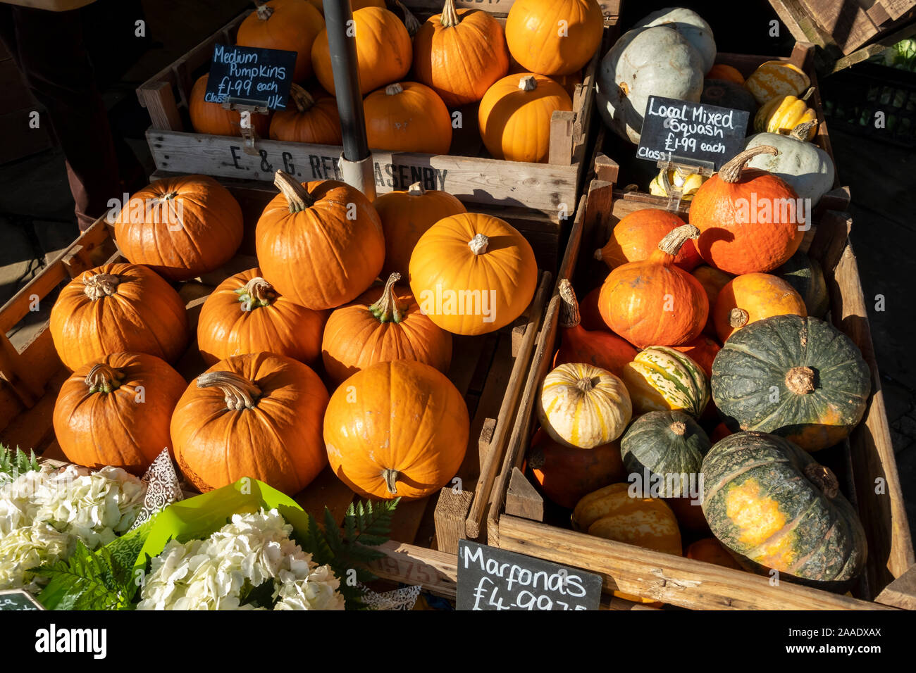 Close up of pumpkins and mixed squashes for sale on a fruit and vegetable veg market stall North Yorkshire England UK United Kingdom GB Great Britain Stock Photo