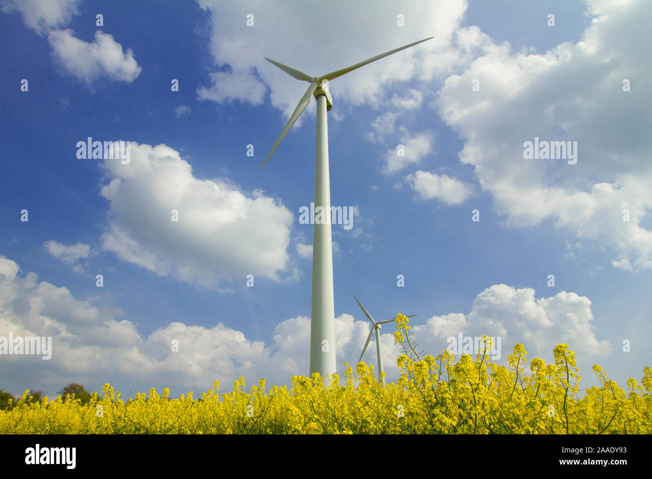 Windkraftanlagen im Rapsfeld Stock Photo