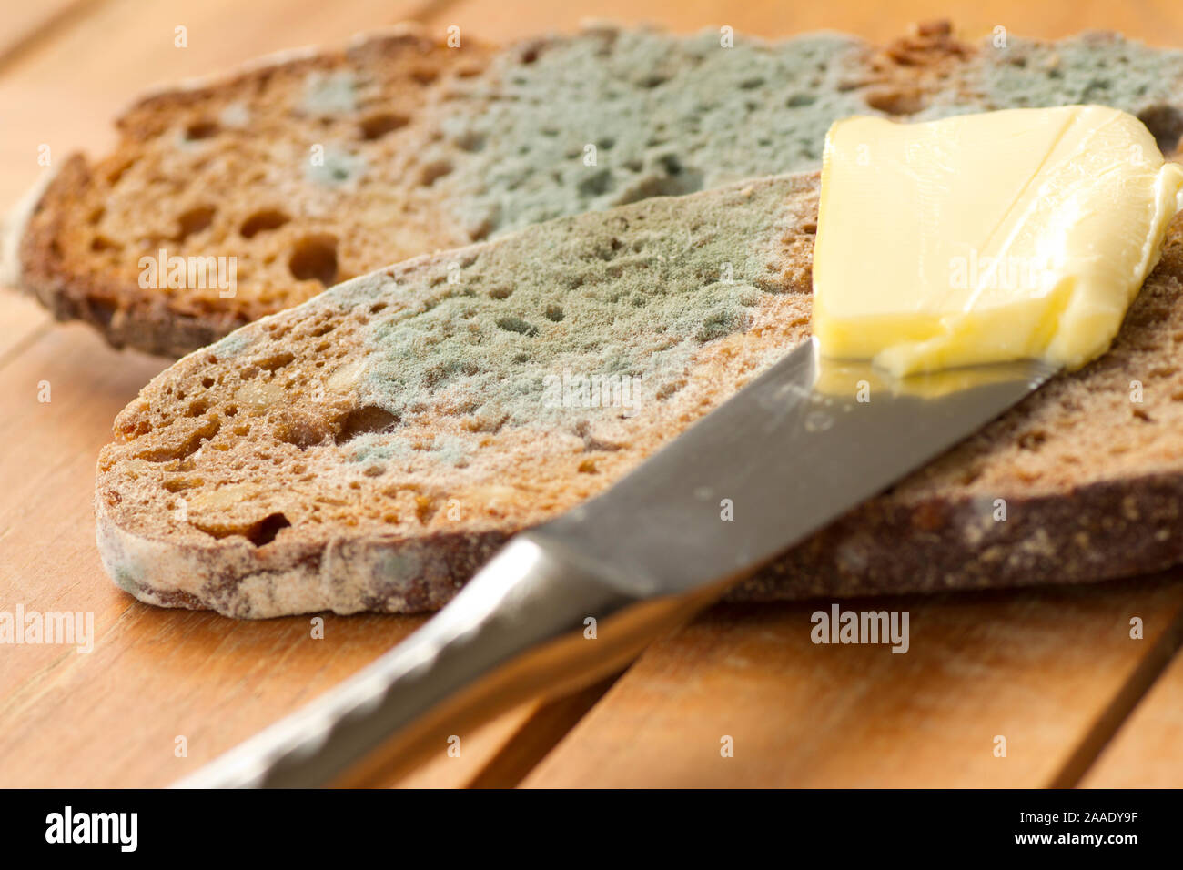 verrschimmeltes Brot Stock Photo