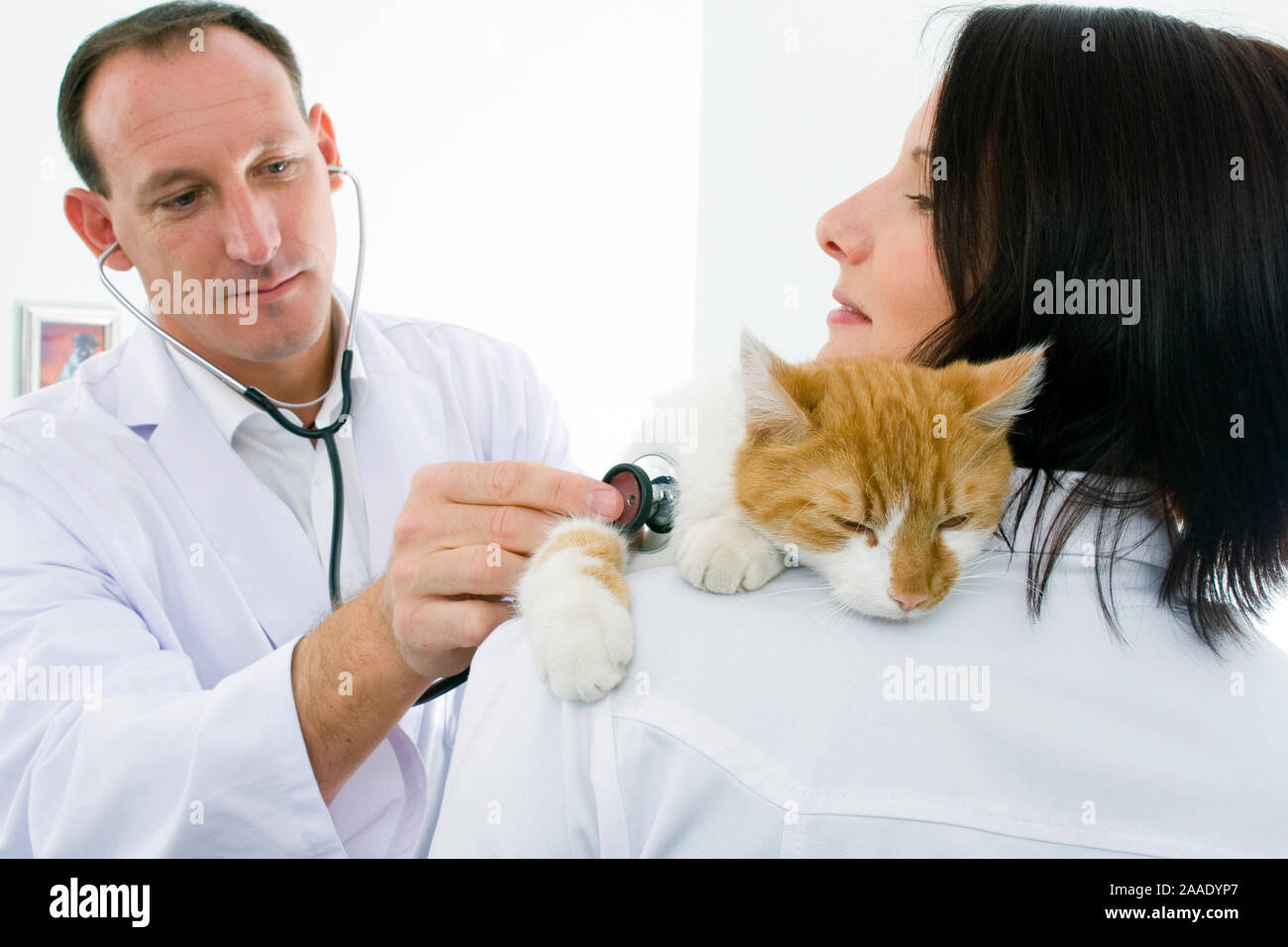 Tierarzt Stock Photos Tierarzt Stock Images Alamy