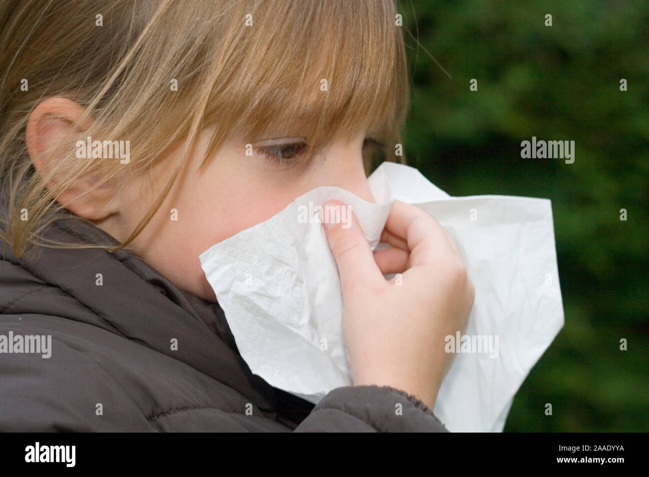 fünfjähriges Mädchen benutzt ein Taschentuch (mr) Stock Photo