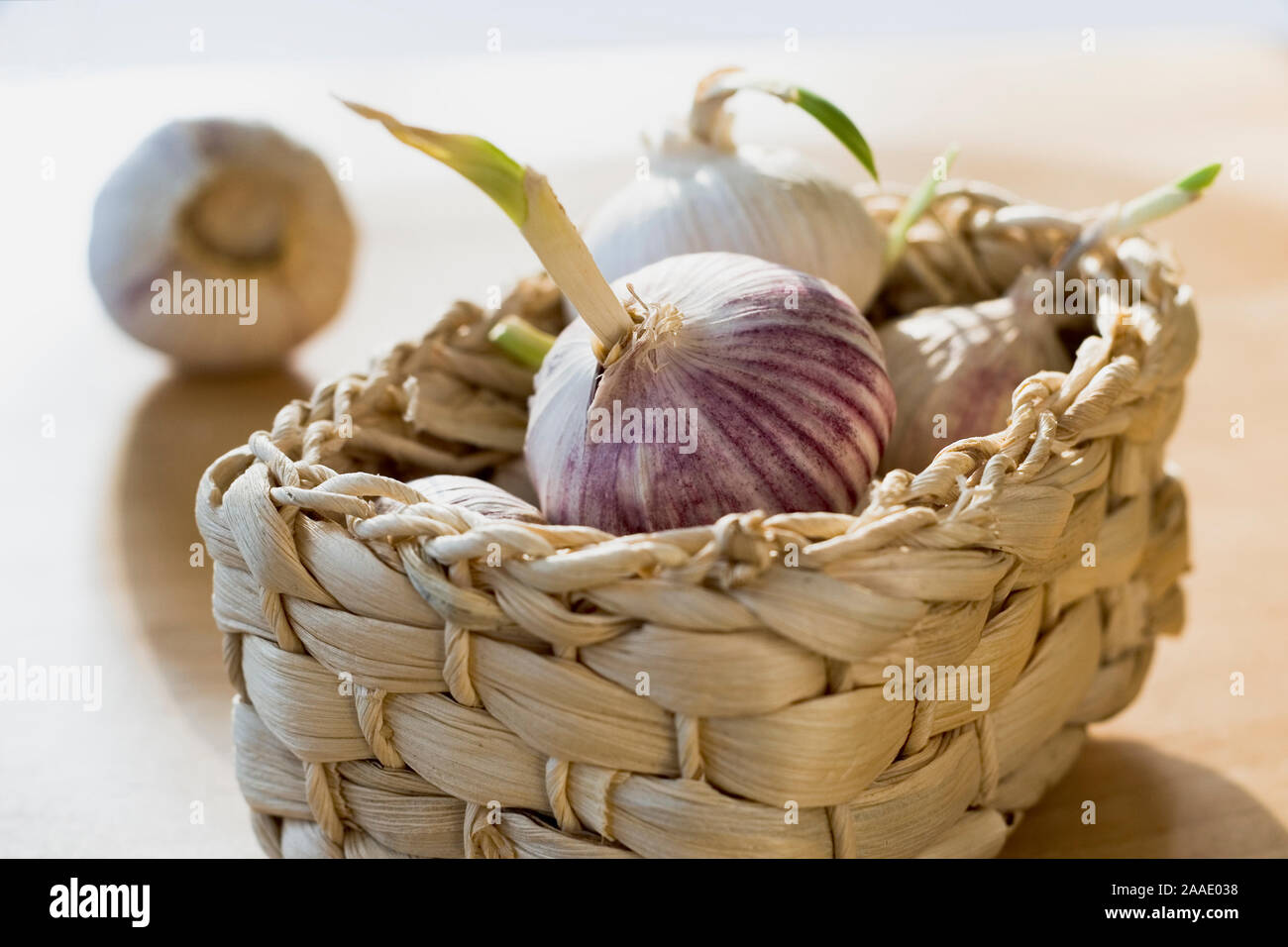 Knoblauch Stock Photo