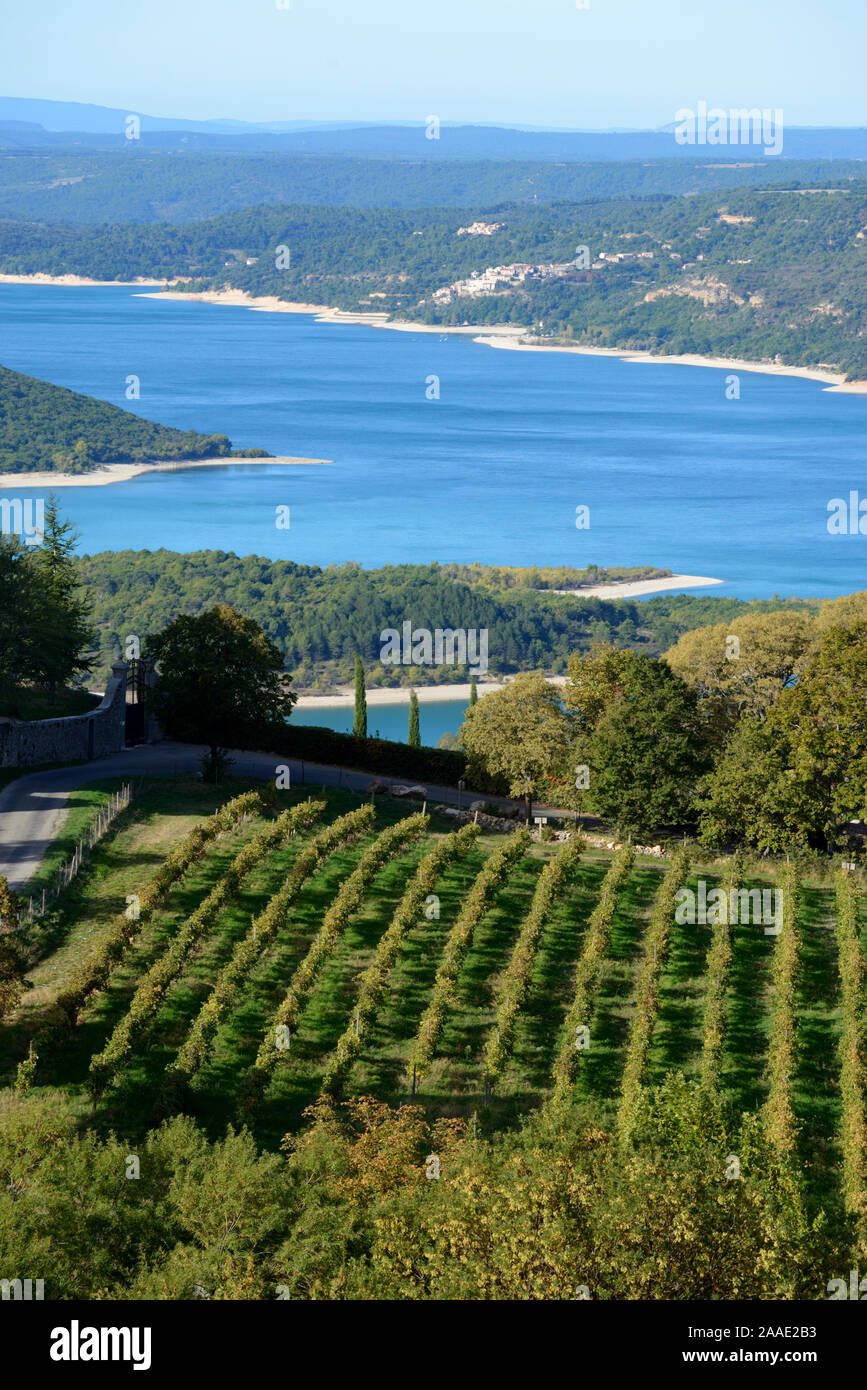Vineyards of Aiguines Running Down to the Lake of Sainte-Croix Var Provence France Stock Photo