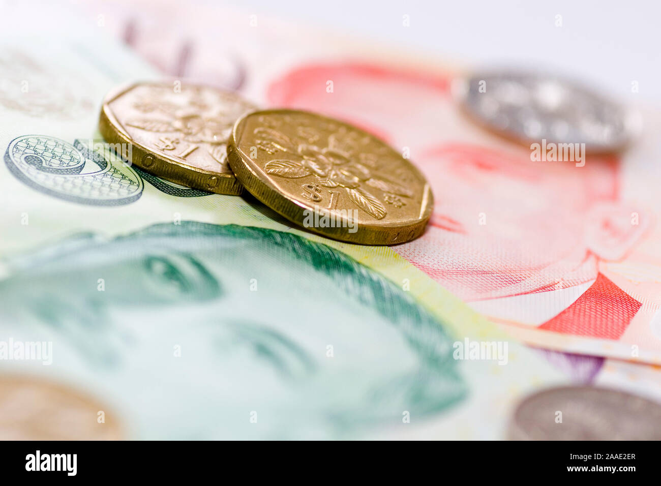 Singapur-Dollar (no pr) Stock Photo
