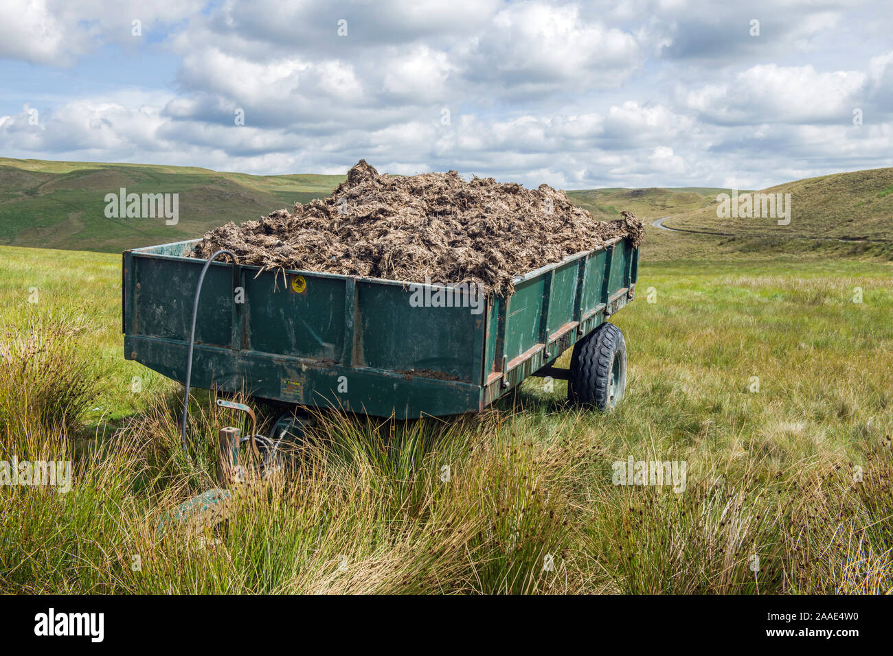 A farm trailer on the Cambrian Mountains full of manure in West Wales Stock Photo