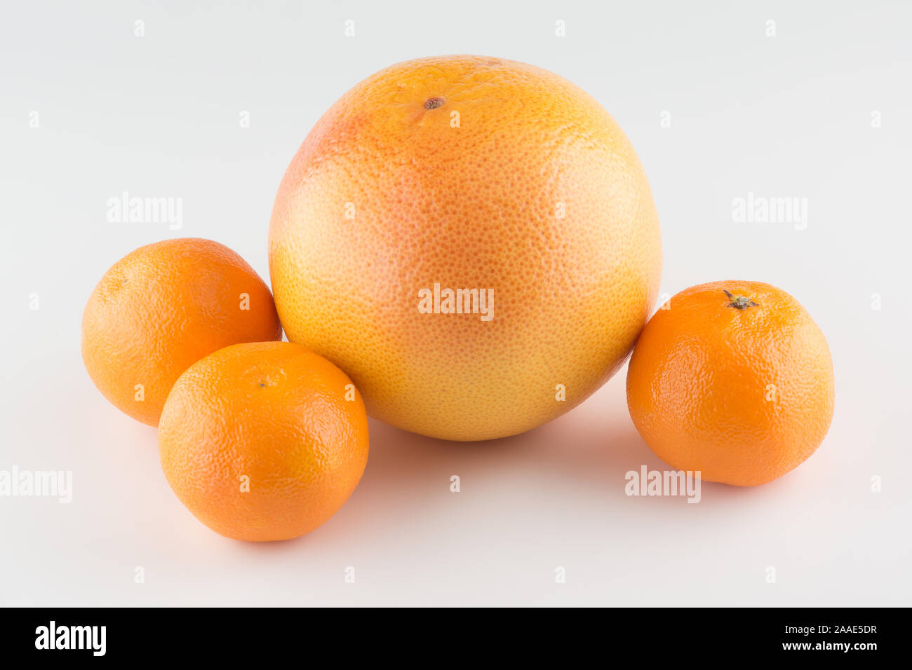 https://c8.alamy.com/comp/2AAE5DR/fresh-juicy-orange-and-mandarin-isolated-on-white-background-2AAE5DR.jpg