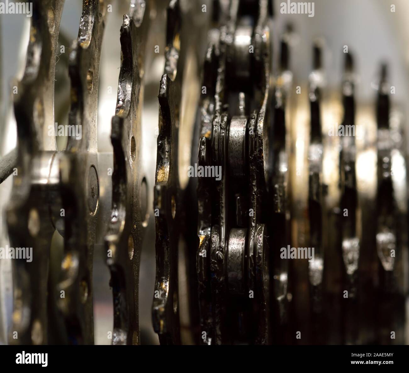 Racing bike gears,cogs,sprockets Stock Photo Alamy