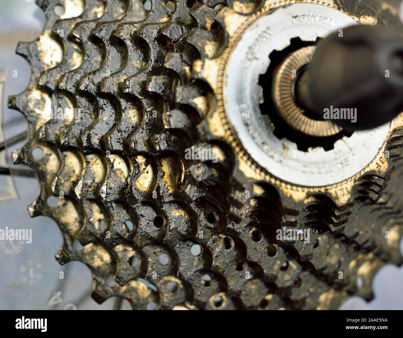 Racing bike gears,cogs,sprockets Stock Photo Alamy
