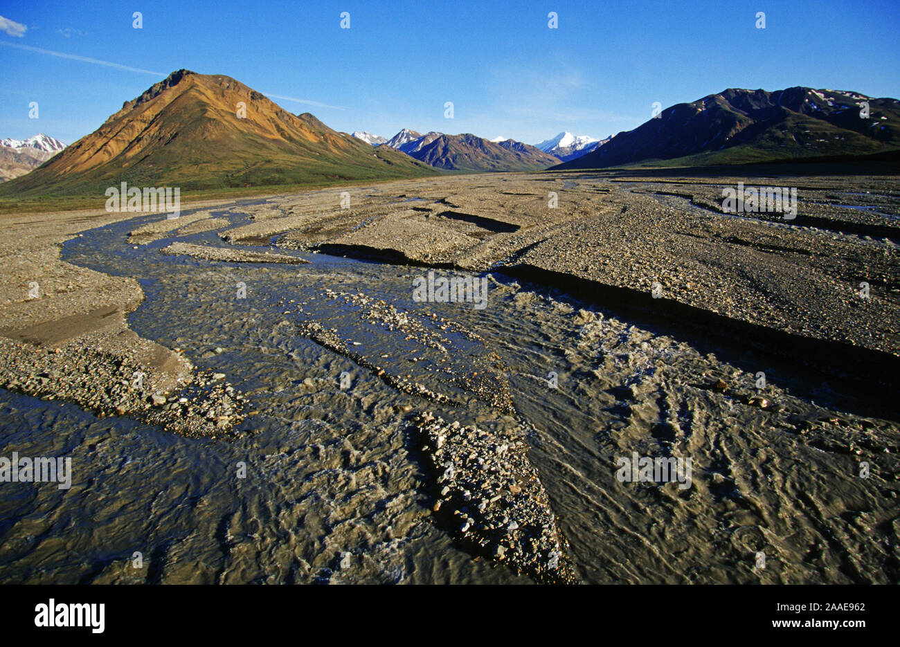Stark verzweigte Flüsse in einem weiten Flussbett fliessen aus den Bergen der Alaska Range - Denali N.P. - Alaska Stock Photo