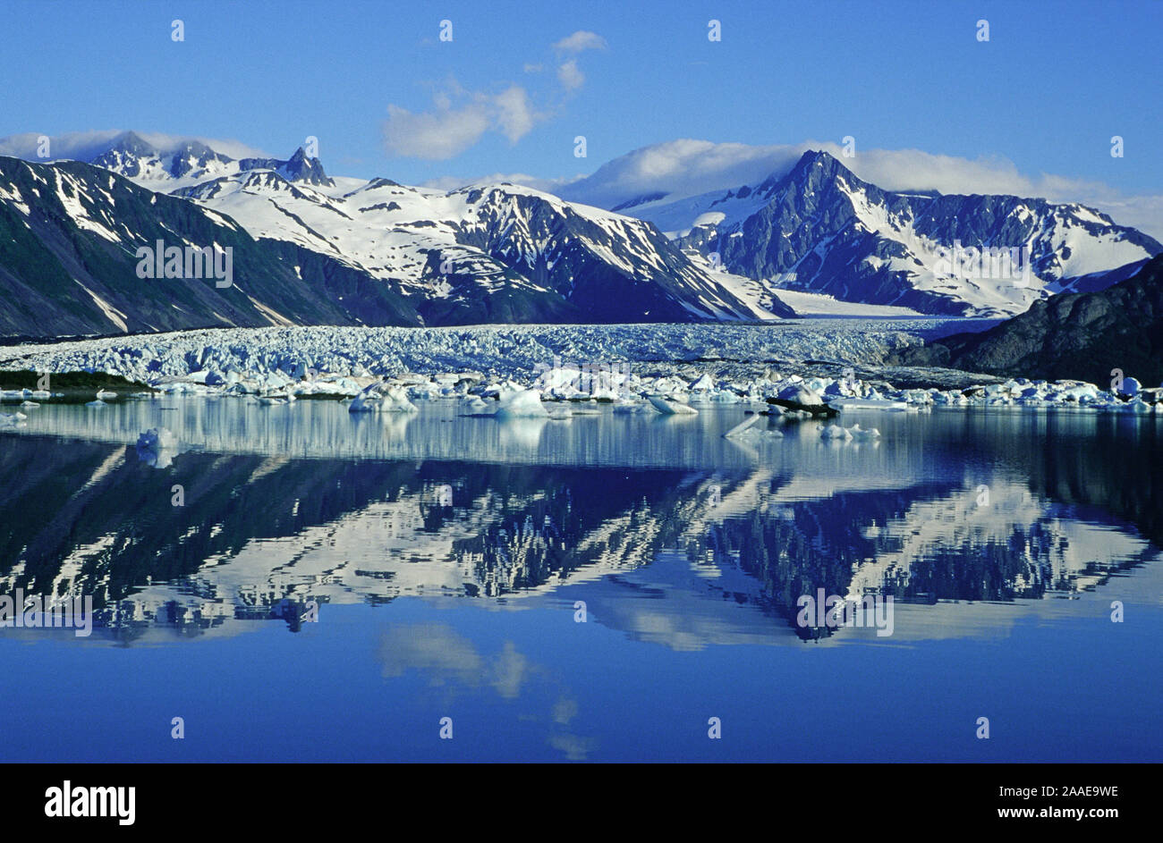 Bear Glacier Lagune im Kenai Fiord N.P. - Alaska Stock Photo