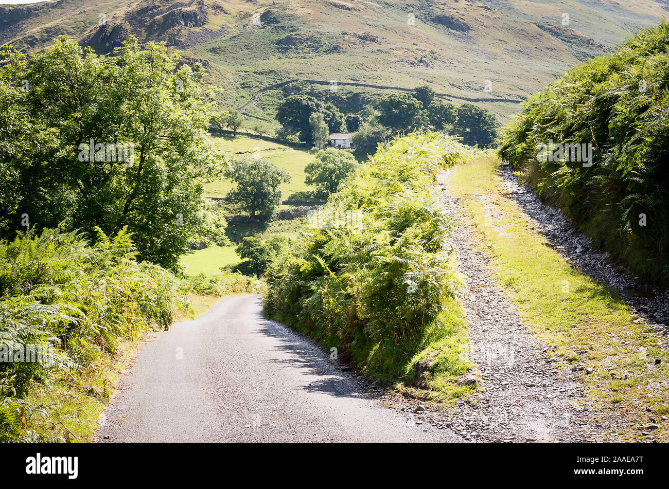 A hillside track merges with a narrow lane in Martindale Cumbria England UK Stock Photo