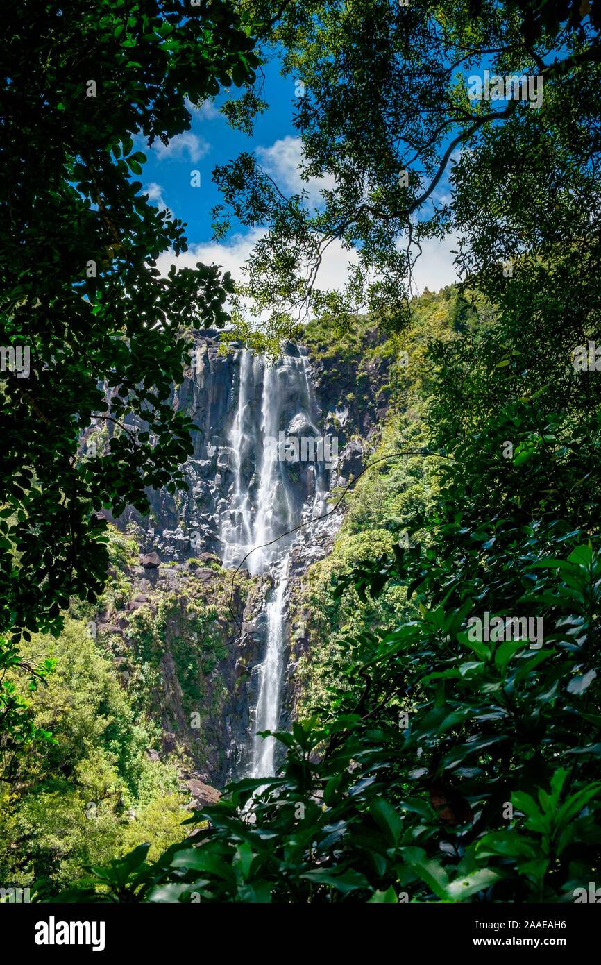 The Highest Falls on The North Island, Wairere Falls Park, Okauia, Waikato Region, North Island, New Zealand Stock Photo