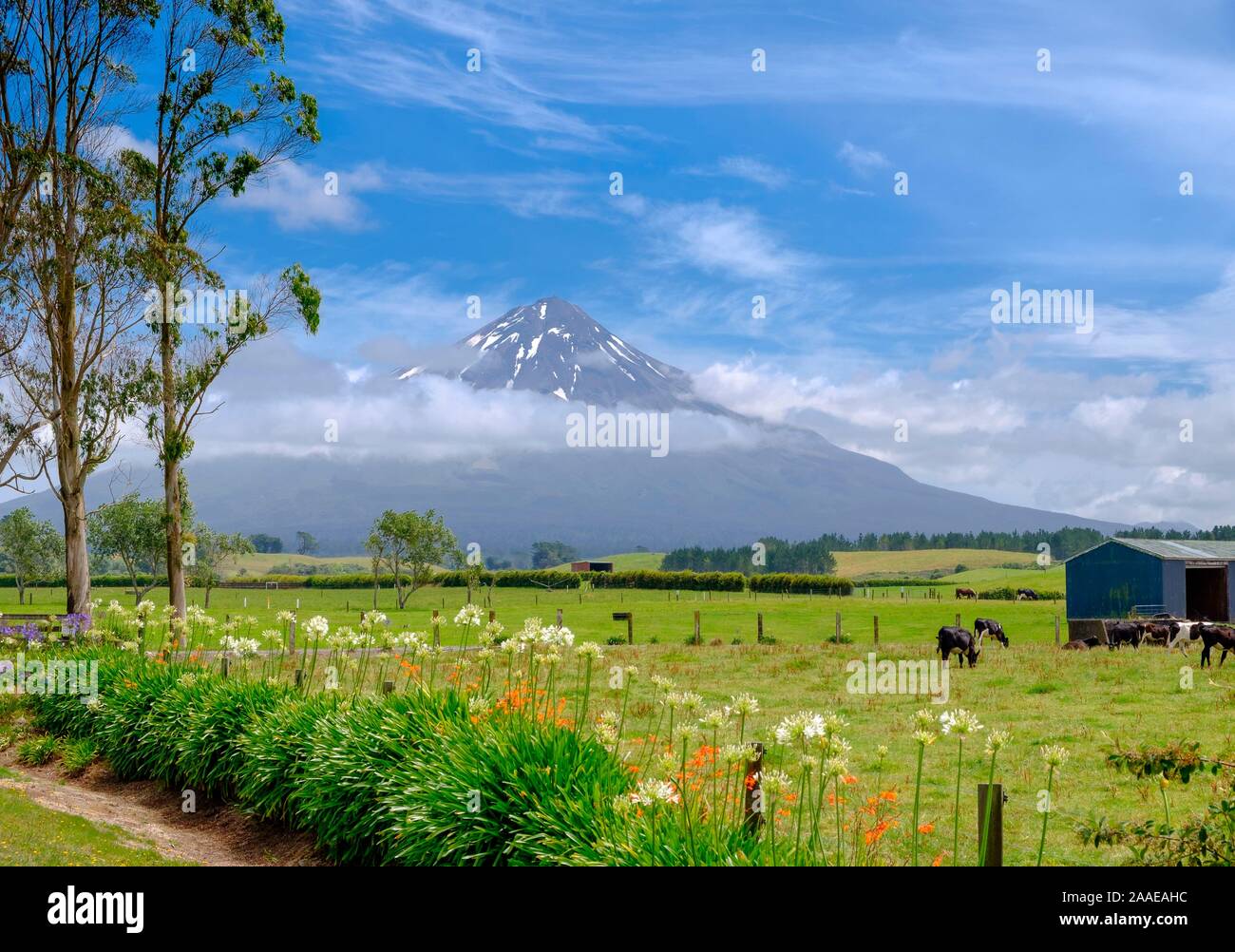 Mount Taranaki, Egmont National Park, near Stratford, West Coast of North Island, New Zealand Stock Photo