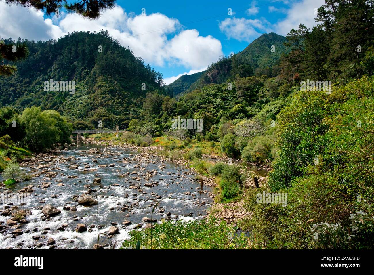 Karangahake Gorge Recreation path on the Ohinemuri River, near Waihi, Bay of Plenty, North Island, New Zealand Stock Photo